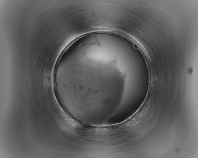 X0000101151291200806270934