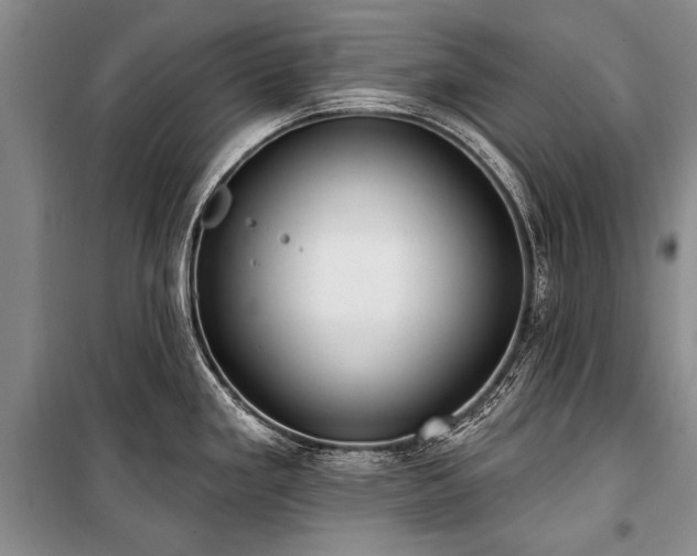 X0000101151293200806270934