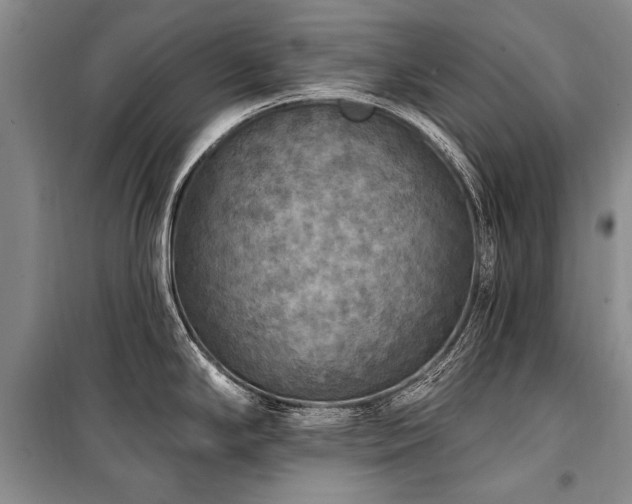 X0000101151294200806270934
