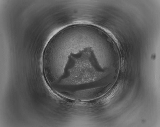 X0000101151295200806270934