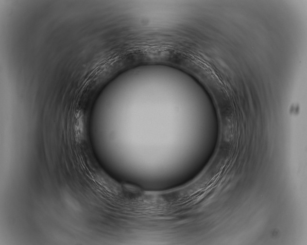 X0000101151298200806270934