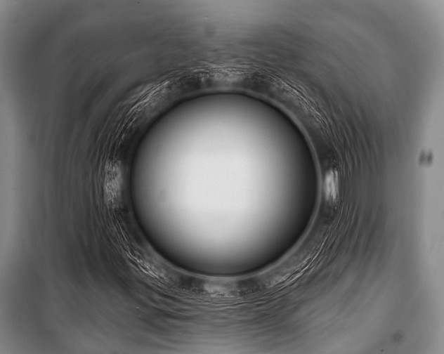 X0000101151299200806270934