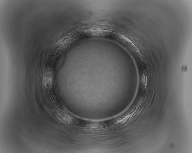 X0000101151300200806270934