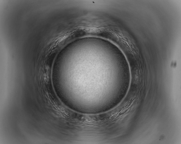 X0000101151301200806270934