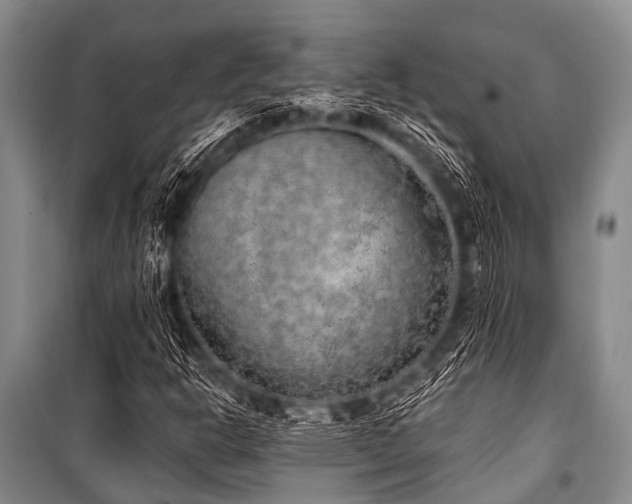 X0000101151302200806270934