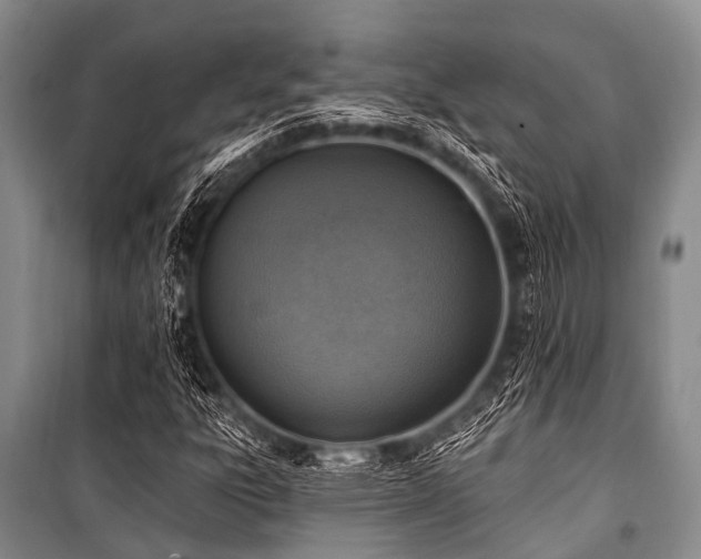 X0000101151303200806270934