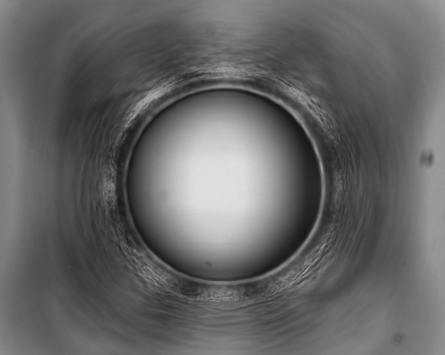 X0000101151307200806270934