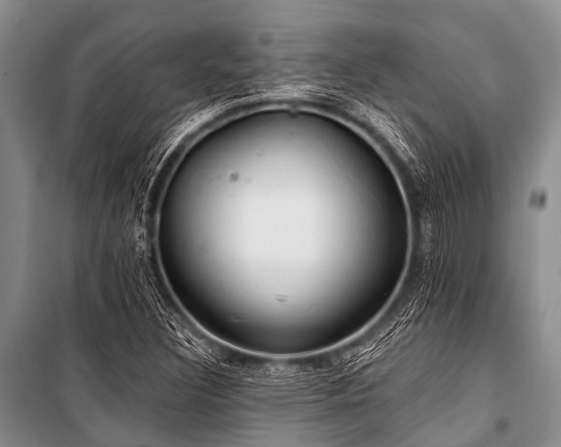 X0000101151308200806270934