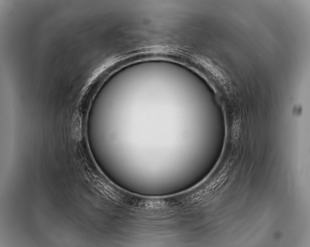 X0000101151310200806270934