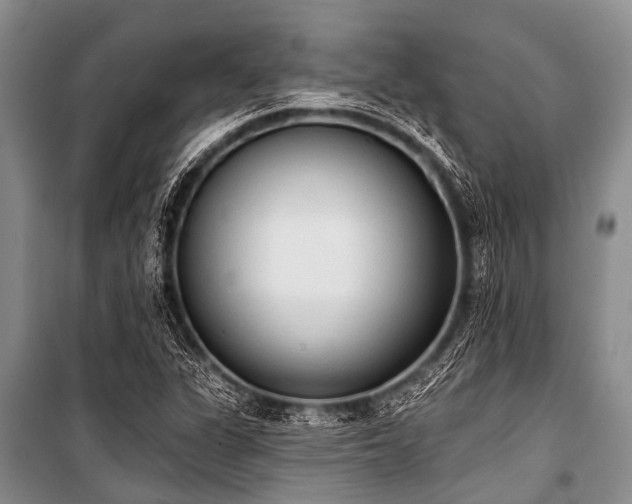 X0000101151311200806270934