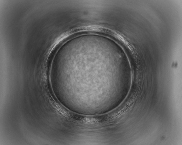 X0000101151312200806270934