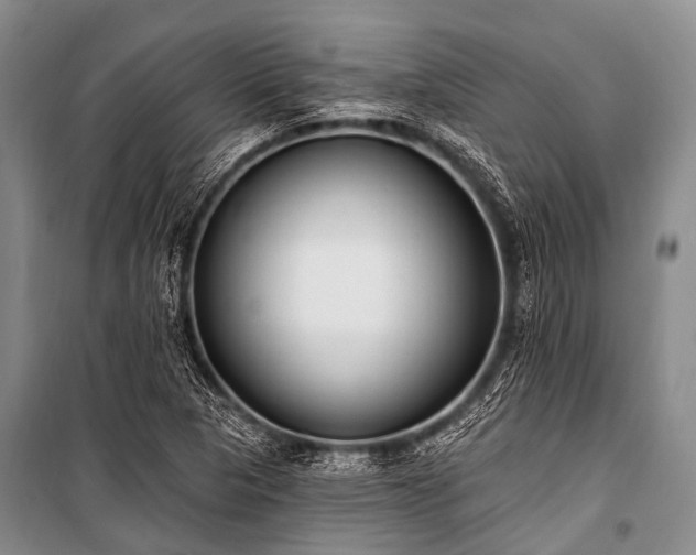 X0000101151313200806270934