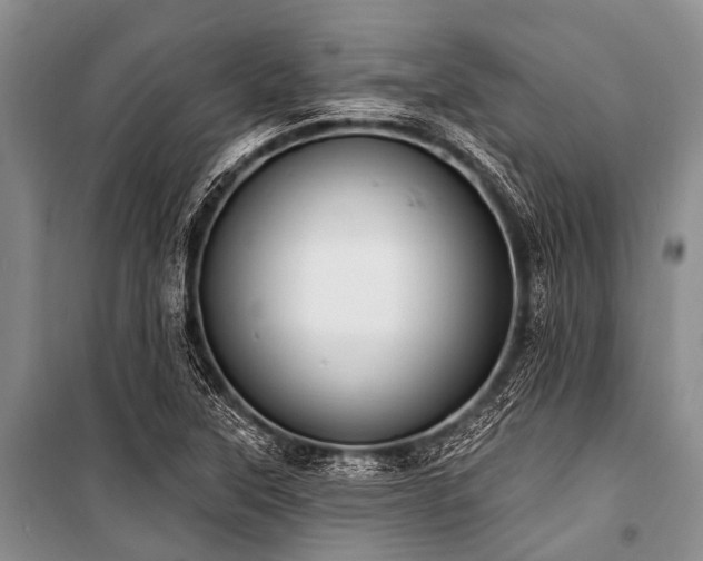 X0000101151315200806270934