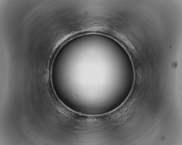 X0000101151316200806270934