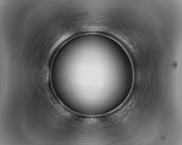 X0000101151317200806270934