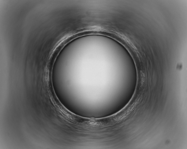 X0000101151318200806270934