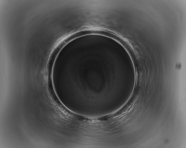 X0000101151319200806270934