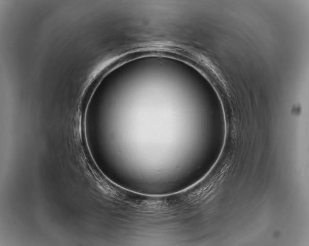 X0000101151320200806270934