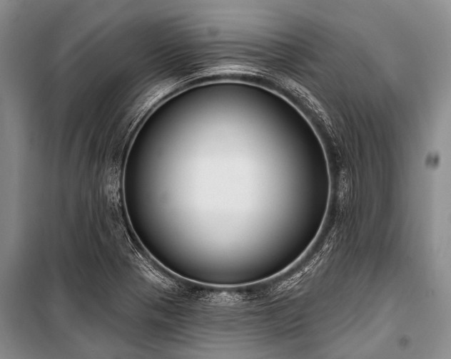 X0000101151321200806270934