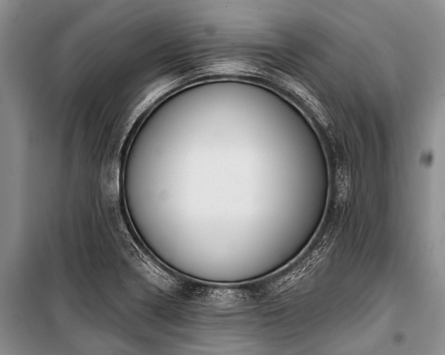 X0000101151322200806270934