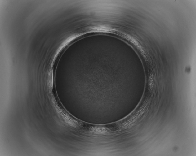 X0000101151323200806270934