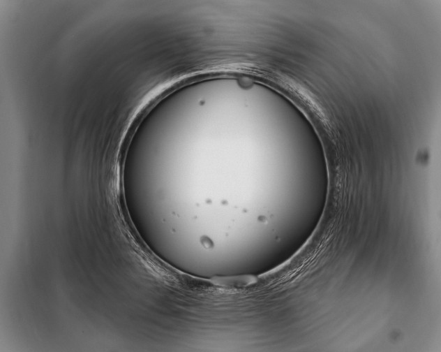 X0000101151324200806270934