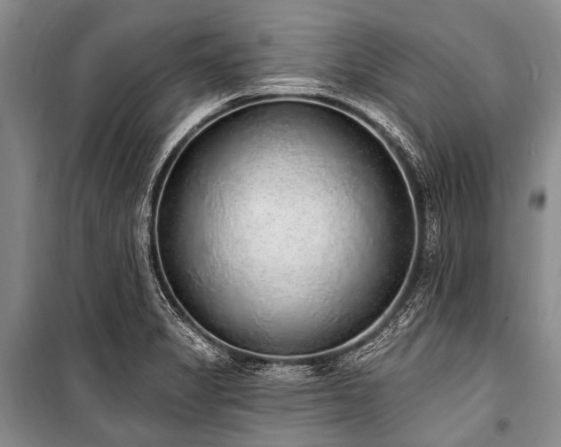 X0000101151325200806270934