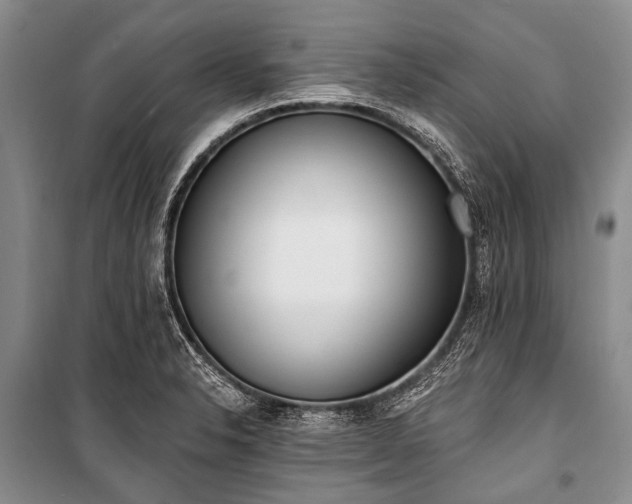 X0000101151326200806270934