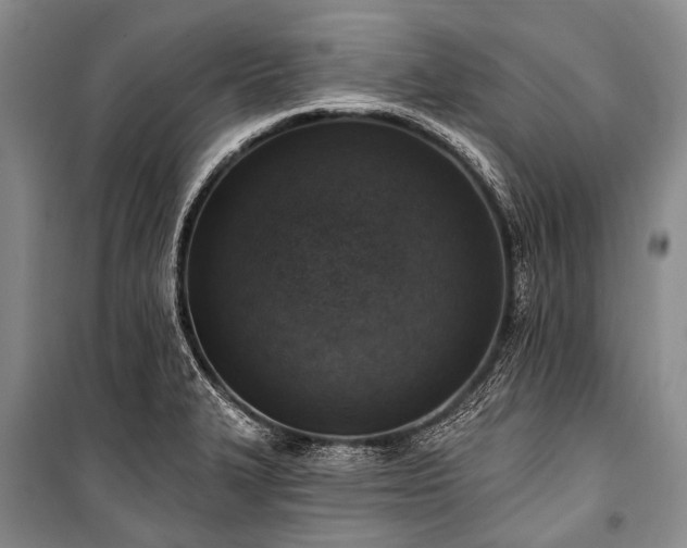 X0000101151327200806270934