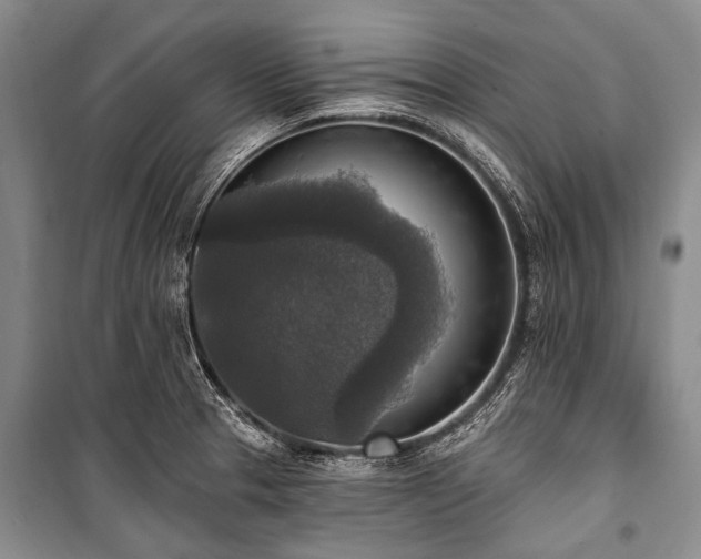 X0000101151329200806270934