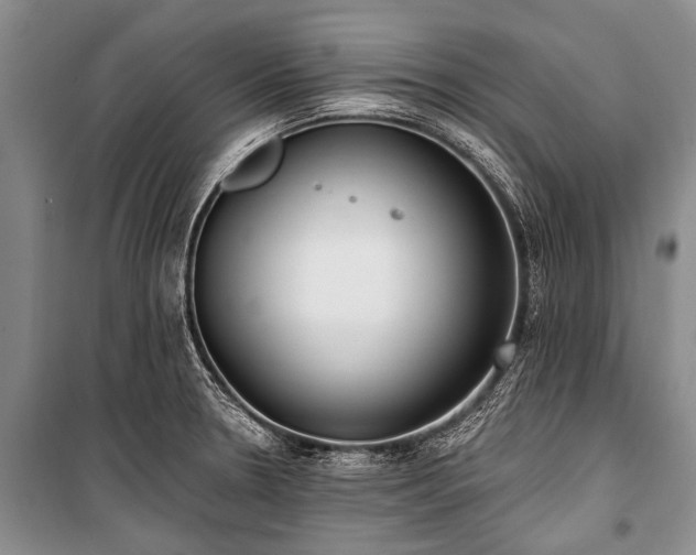 X0000101151330200806270934
