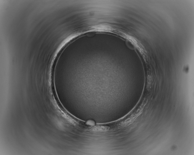 X0000101151331200806270934