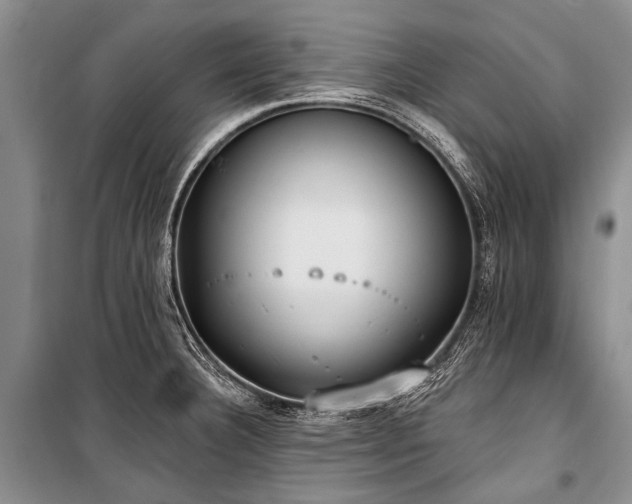 X0000101151332200806270934