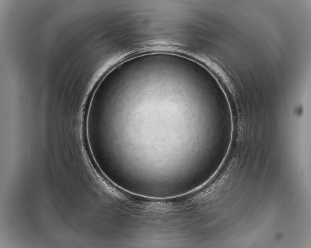 X0000101151333200806270934
