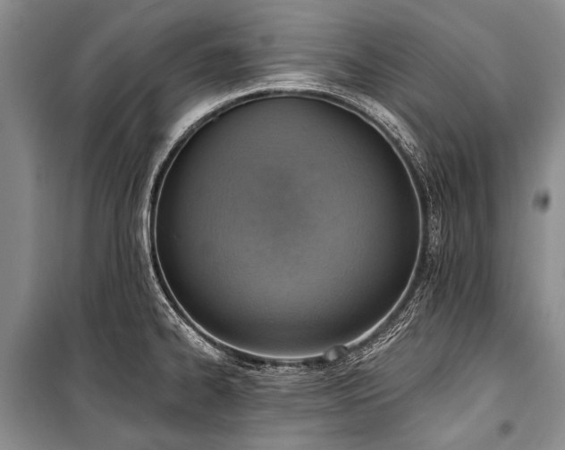 X0000101151334200806270934