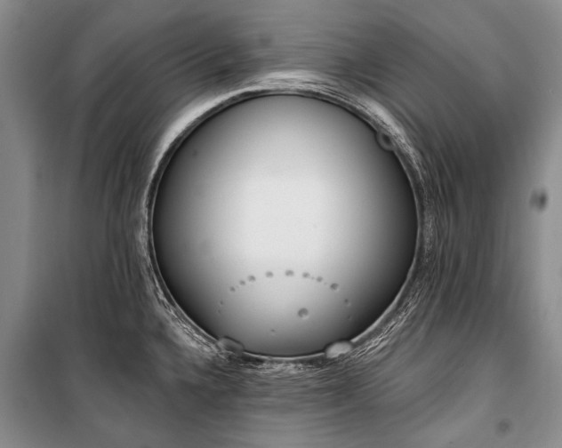 X0000101151336200806270934