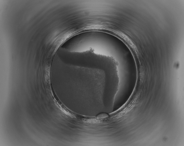 X0000101151337200806270934