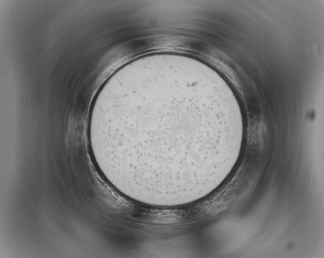 X0000101151338200806270934