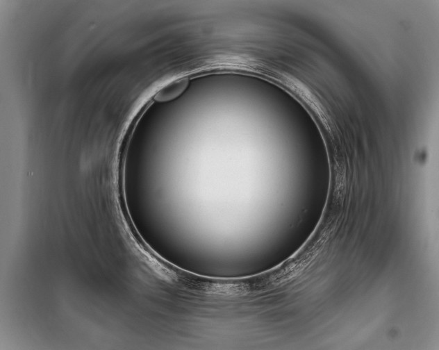X0000101151339200806270934
