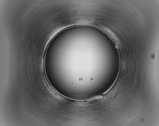 X0000101151340200806270934