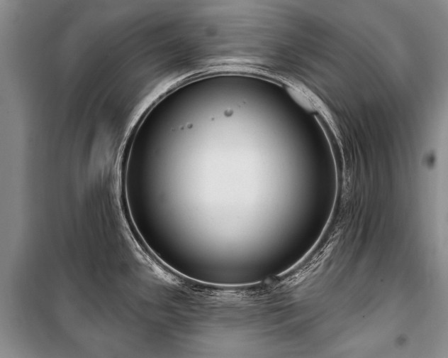 X0000101151341200806270934