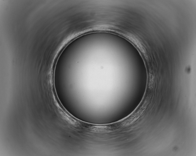 X0000101151342200806270934