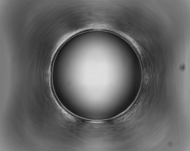X0000101151343200806270934