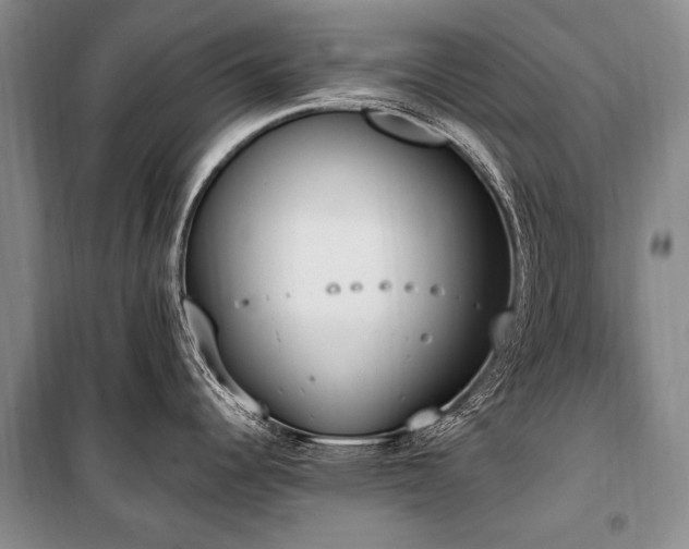 X0000101151344200806270934