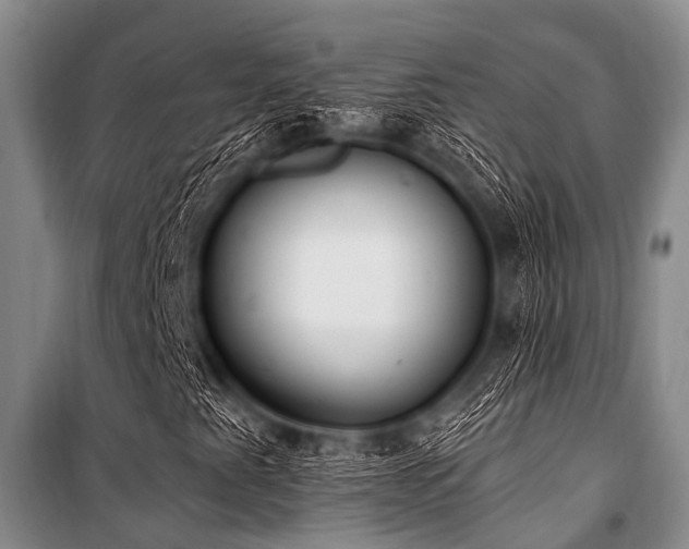 X0000101151345200806270934