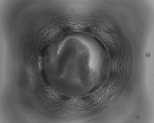 X0000101151346200806270934