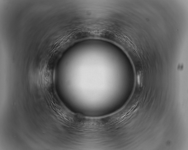 X0000101151347200806270934