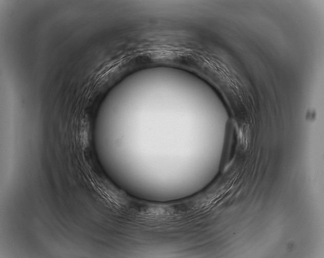 X0000101151348200806270933