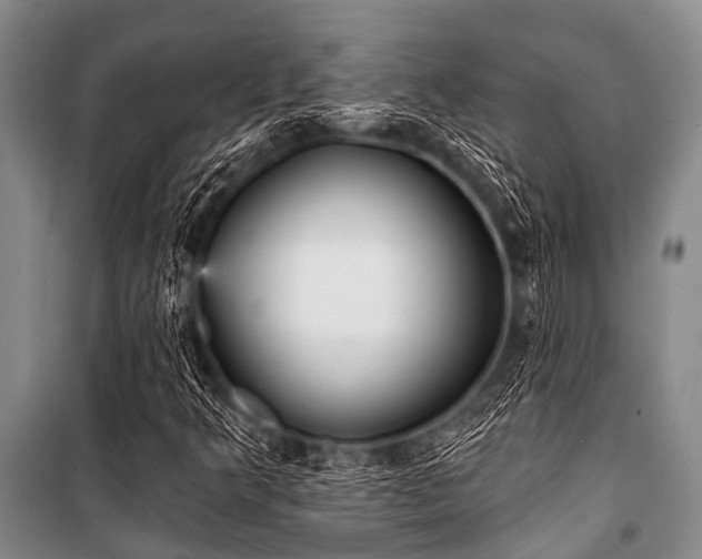 X0000101151349200806270933