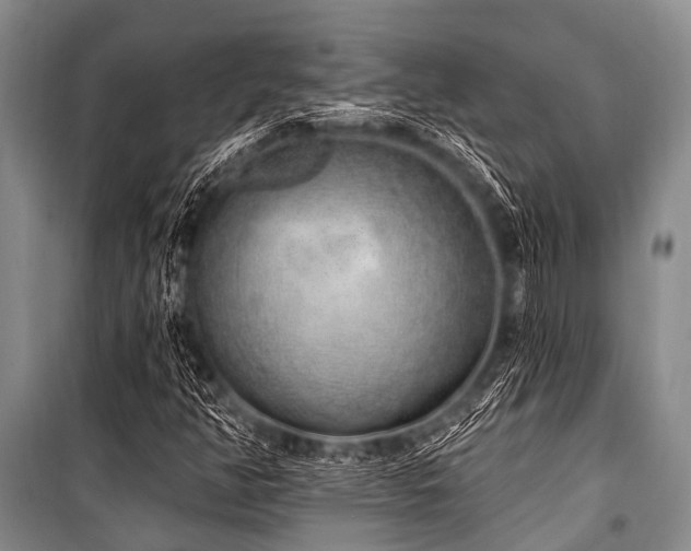 X0000101151350200806270933